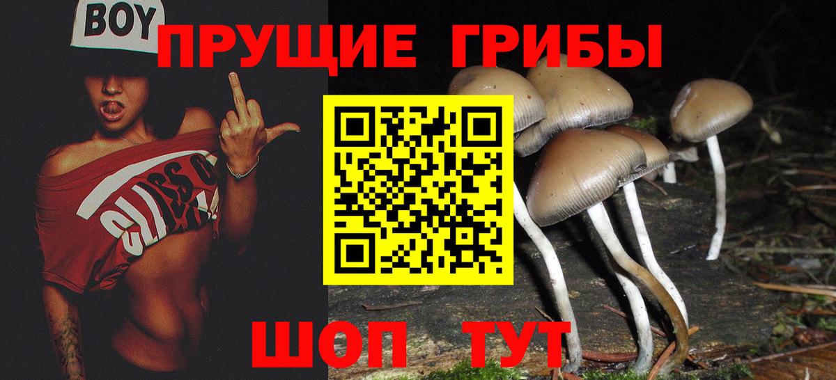 Псилоцибиновые грибы Cubensis Анапа
