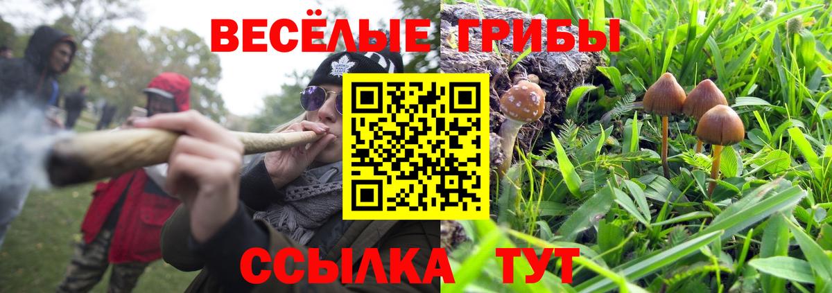 Галлюциногенные грибы MAGIC MUSHROOMS  Галлюциногенные грибы прущие грибы  Вход с VPN  Анапа 